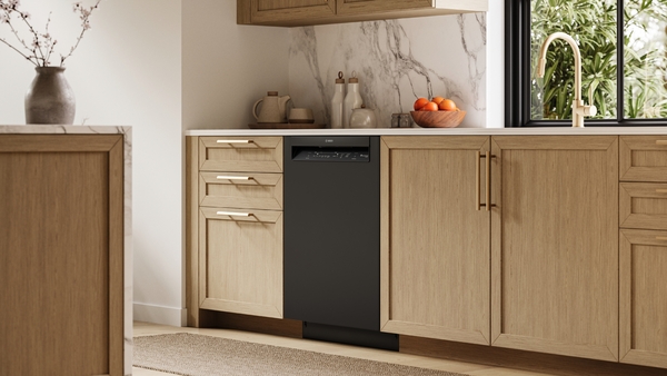Model: SHE2ADF6N | Bosch 100 Series, Dishwasher, 24'', Black