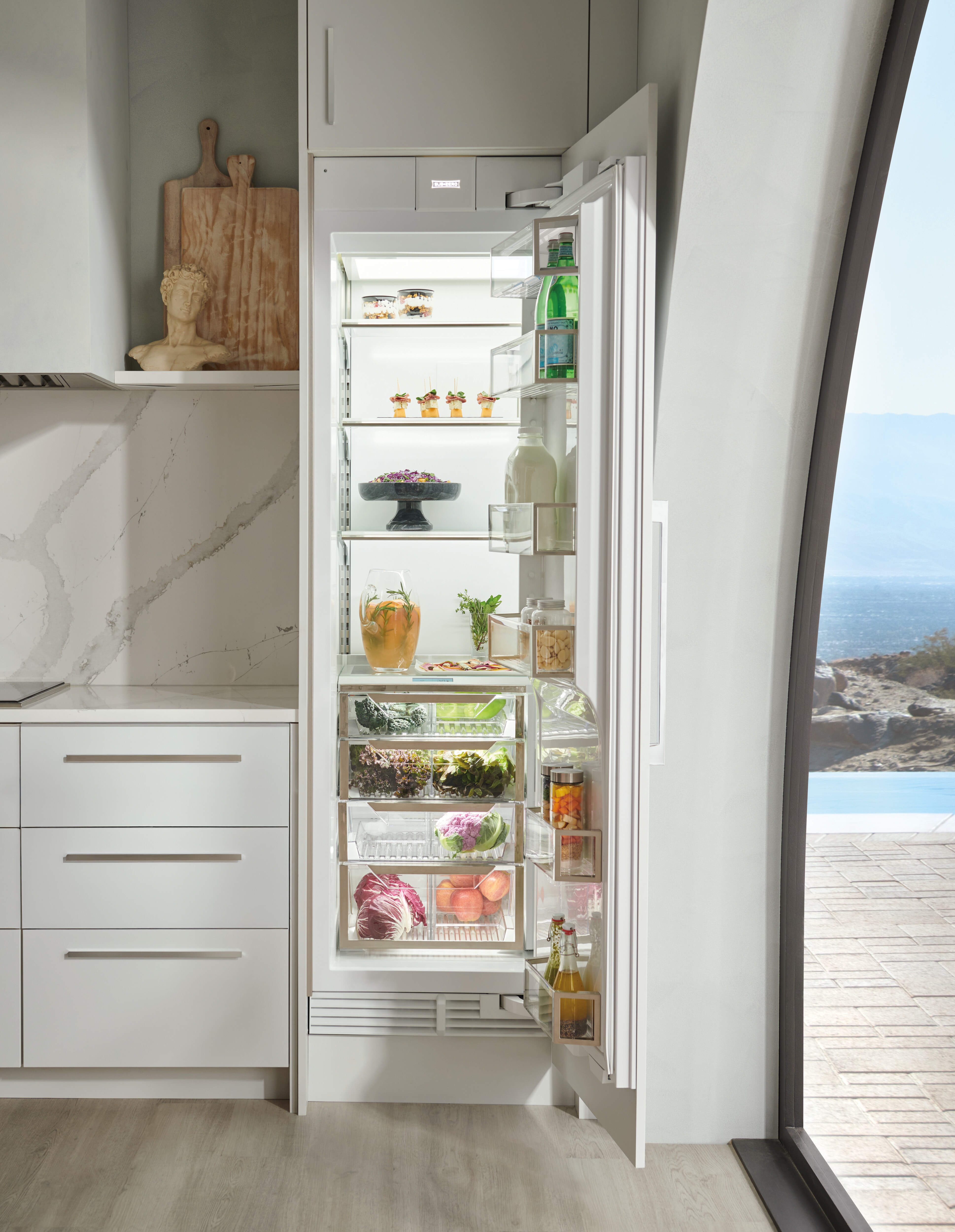 Refrigerator Letter R Sub-Zero Built In All Refrigerator Built In Refrigeration DEC2450R/R ...