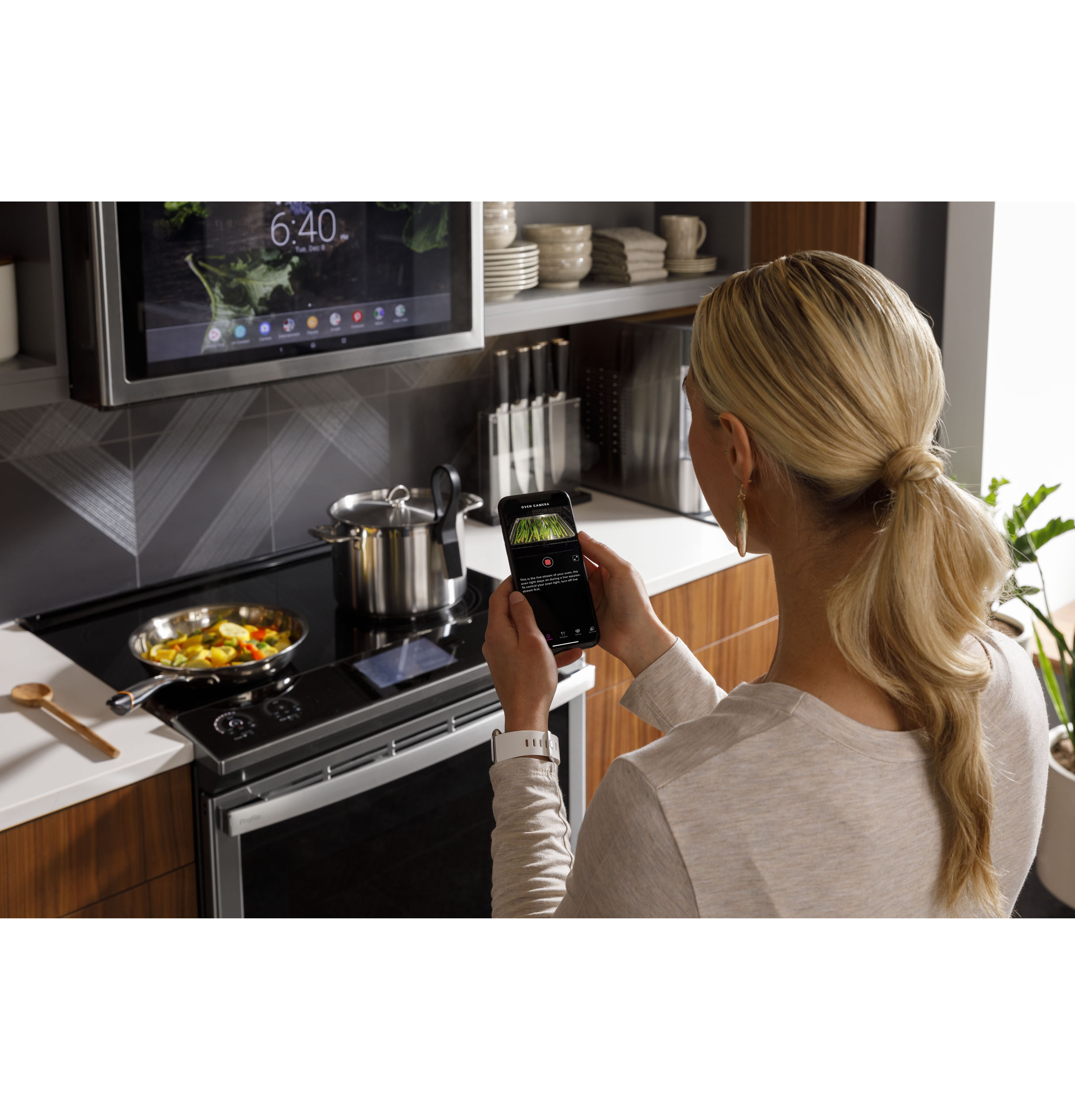 GE Precision Cooking Probe