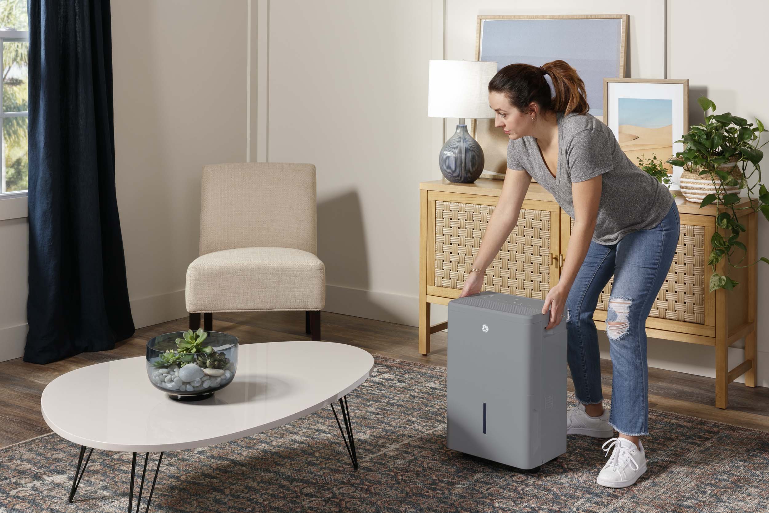 GE Dehumidifier - Thumbnail 5