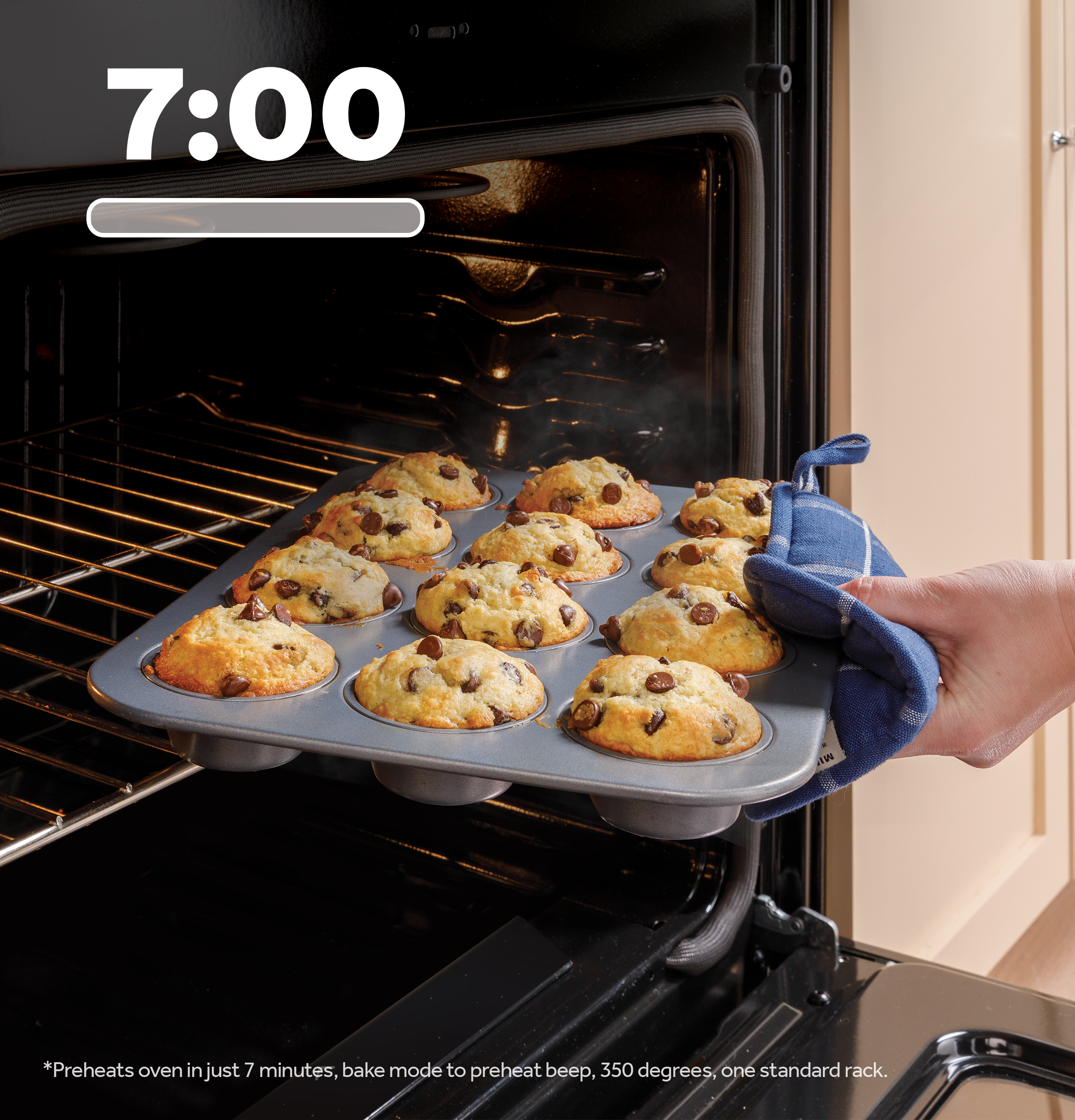 GE Gas Ranges Range GGF600AVSS | Yudins Appliances Inc.