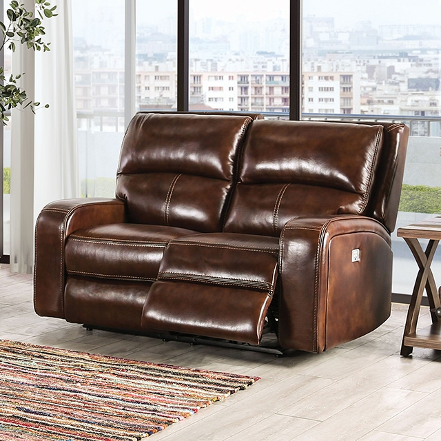 Furniture of America Soterios Power Loveseat