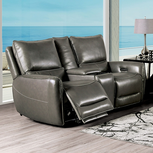 Furniture of America Phineas Power Loveseat