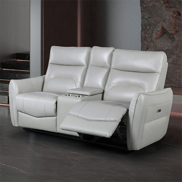 Furniture of America Terentius Power Loveseat