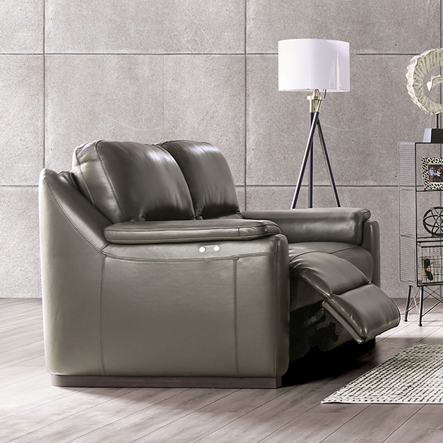 Furniture of America Altamura Power Loveseat