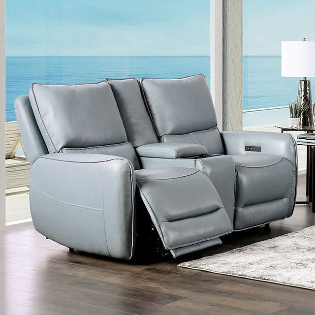 Furniture of America Phineas Power Loveseat