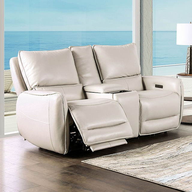 Furniture of America Phineas Power Loveseat