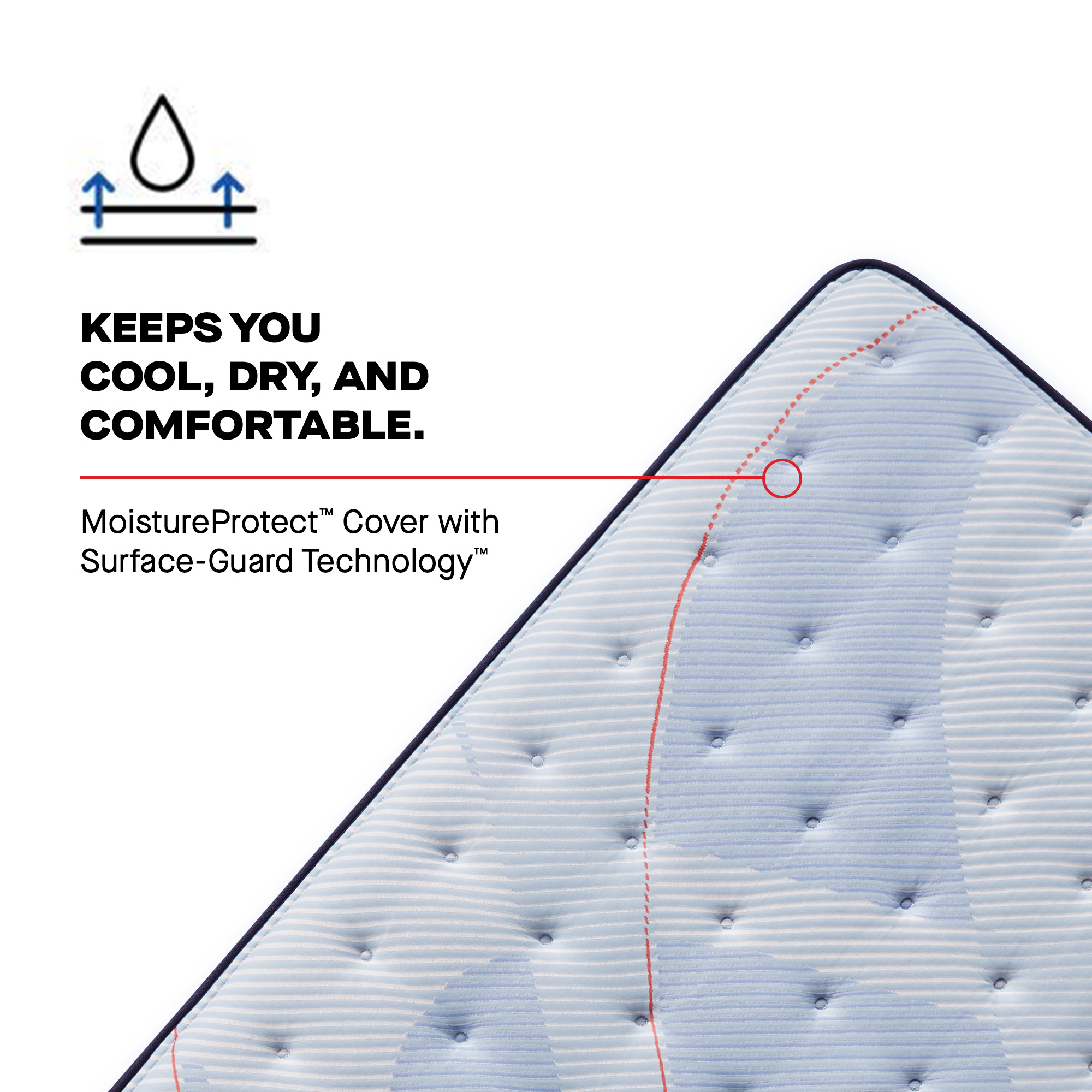 Model: 53199361 | Sealy Posturepedic Paterson II Euro Pillow Top Medium King
