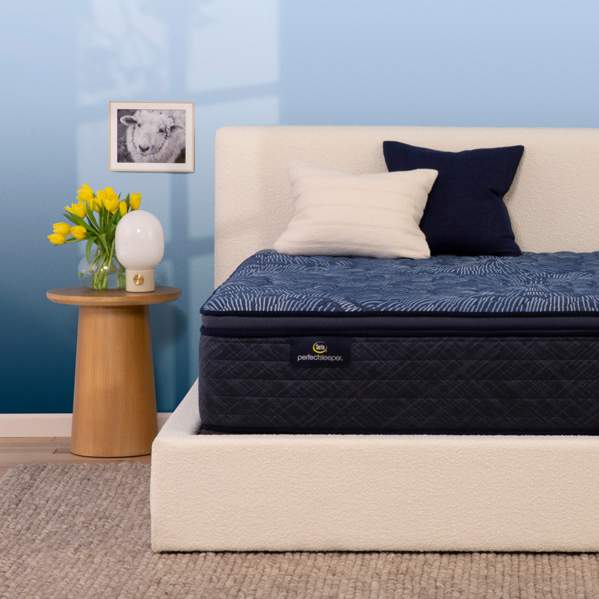 Perfect Sleeper Cobalt Calm 14.5