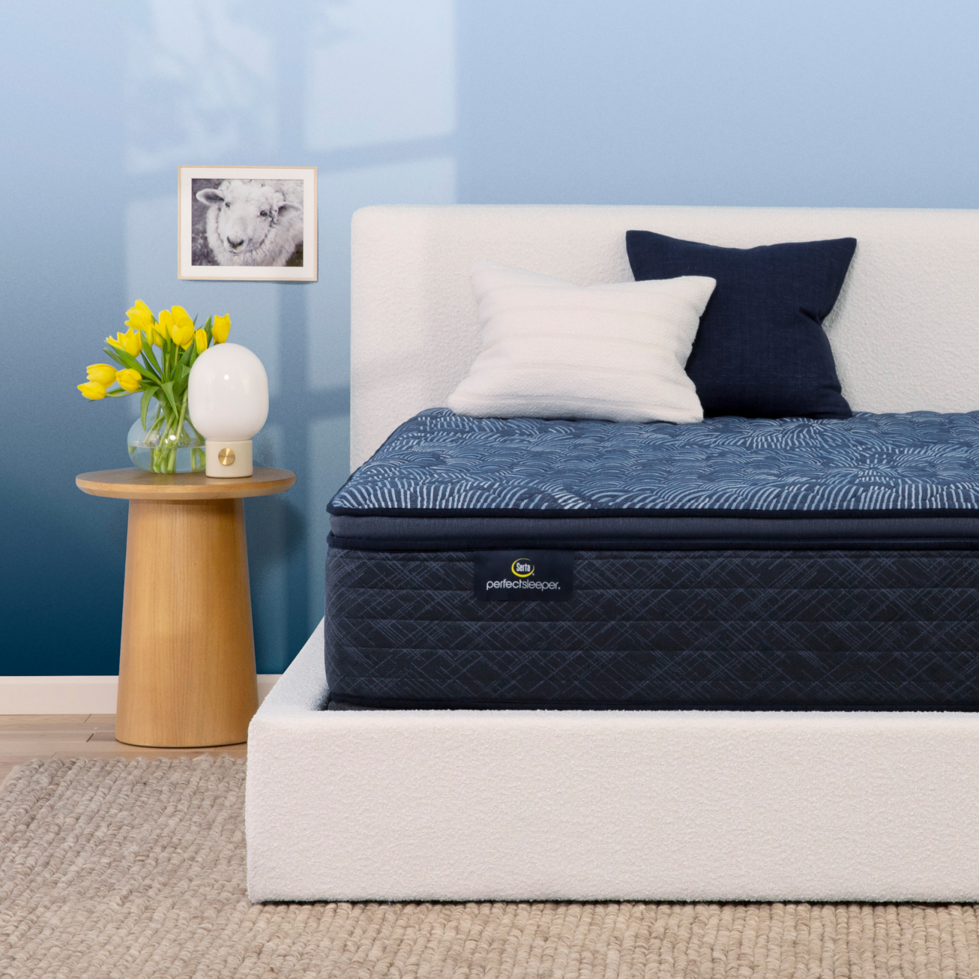 Perfect Sleeper Cobalt Calm 14.5