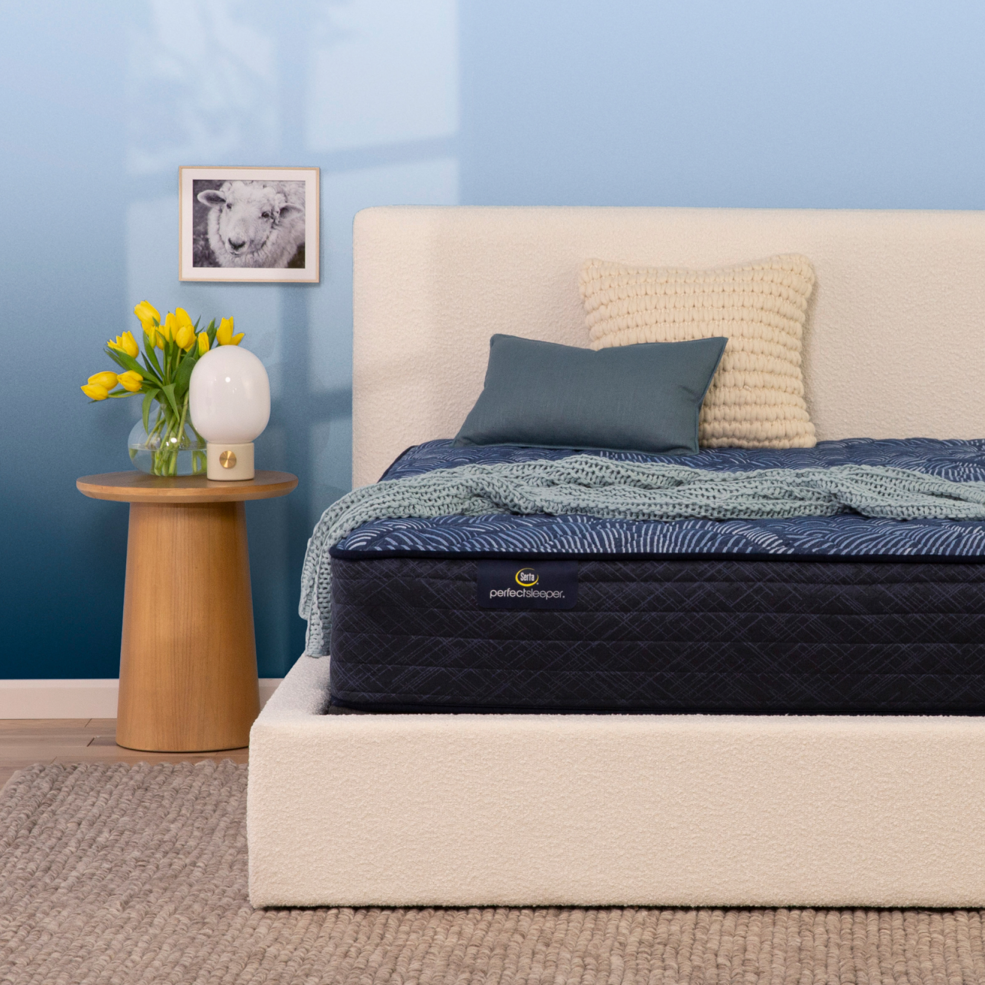 Perfect Sleeper Cobalt Calm 12