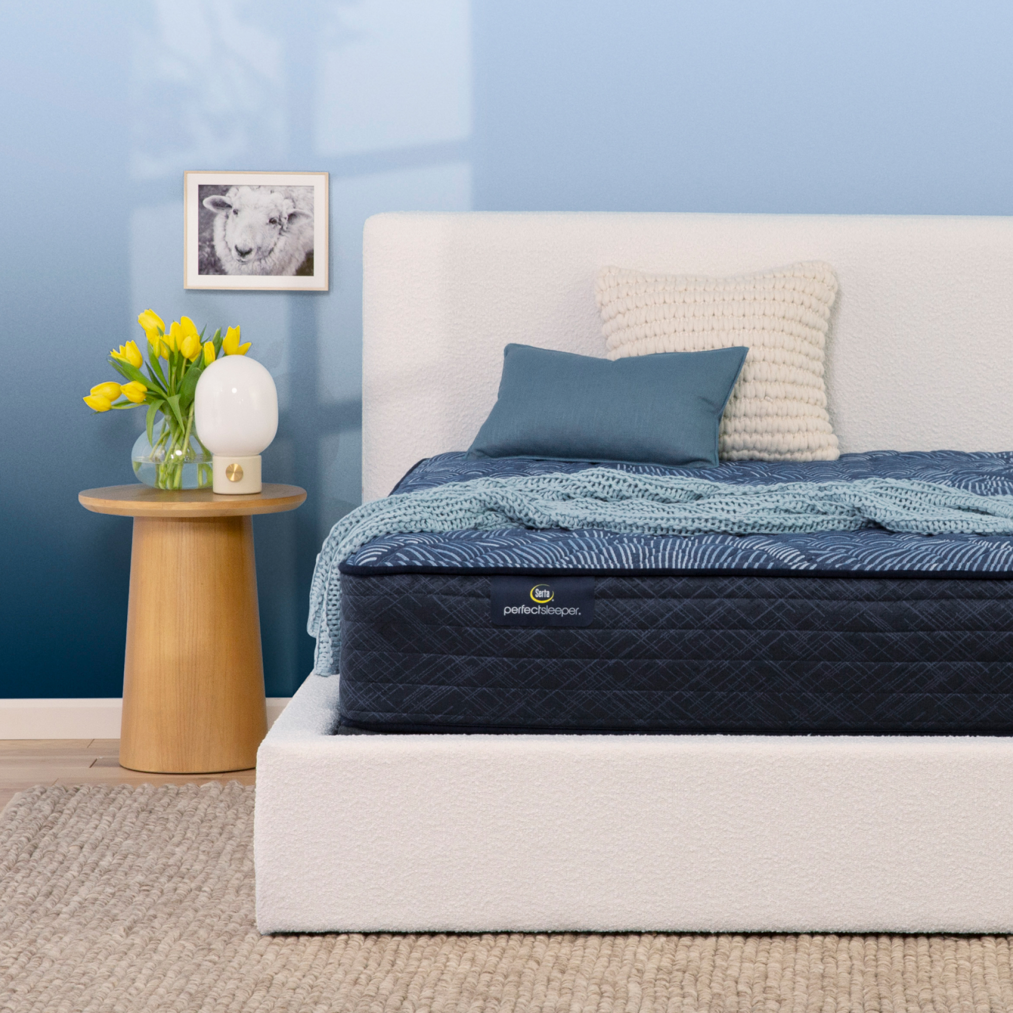 Perfect Sleeper Cobalt Calm 12