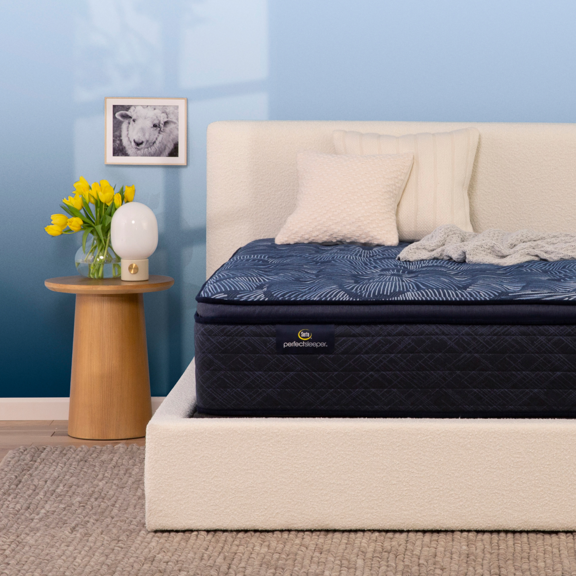 Perfect Sleeper Cobalt Calm 14.5