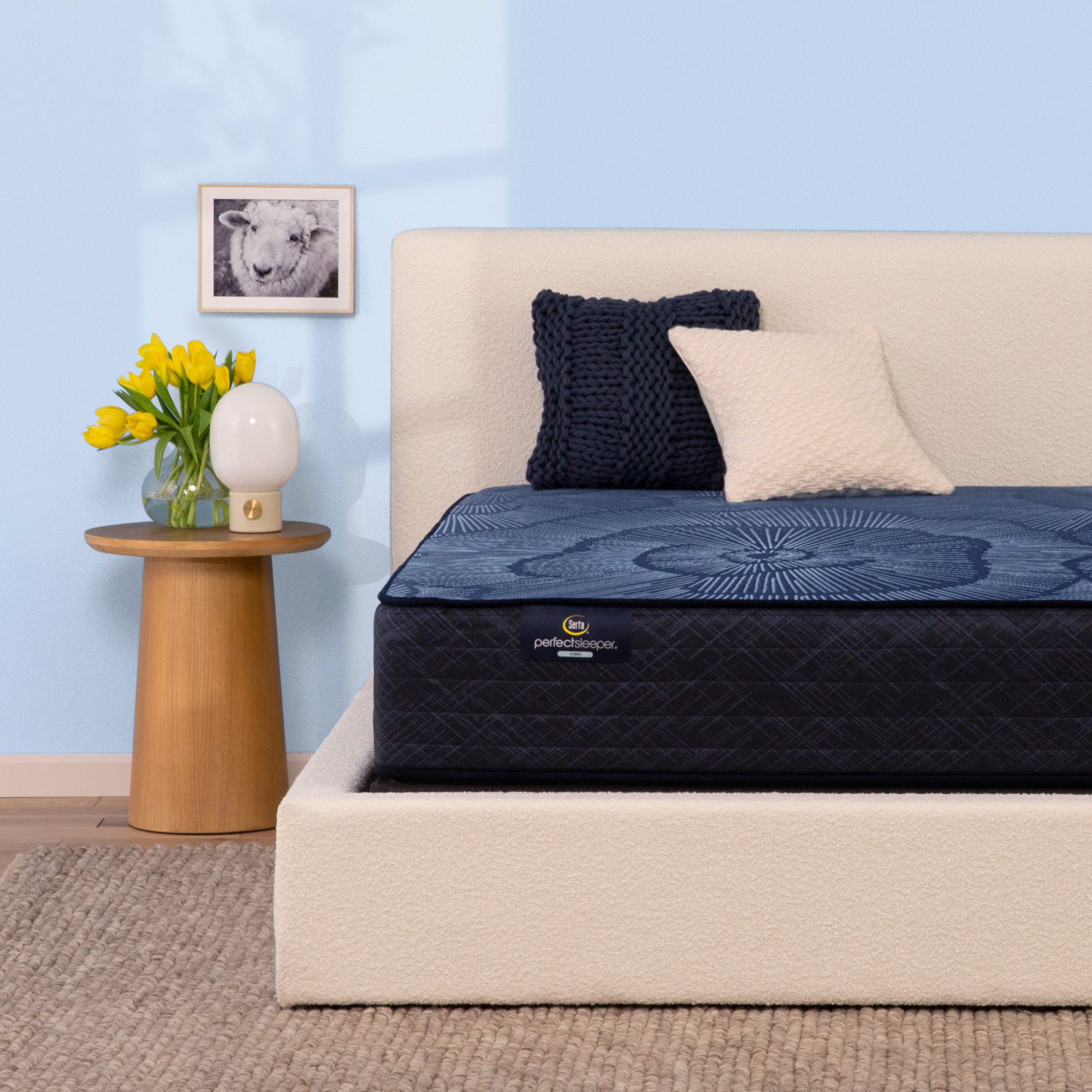 Perfect Sleeper Dazzling Night 12