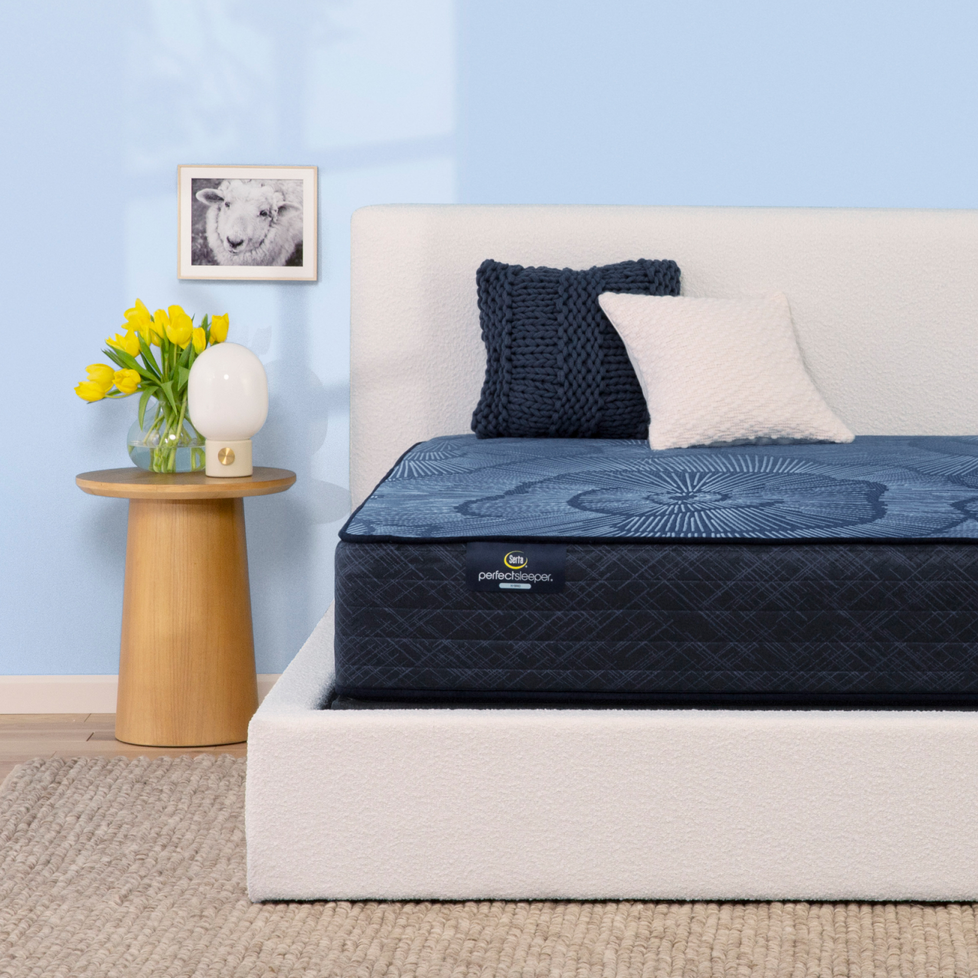 Perfect Sleeper Dazzling Night 12