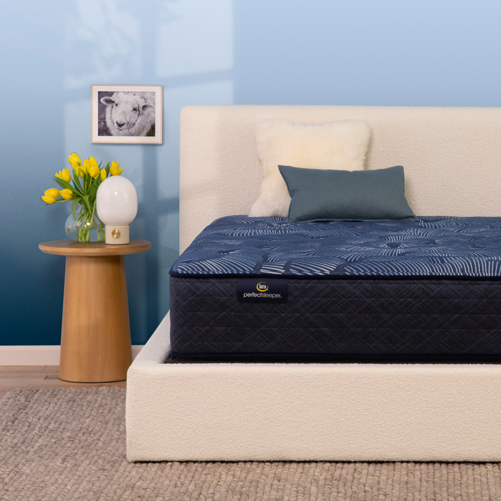 Perfect Sleeper Cobalt Calm 13.25