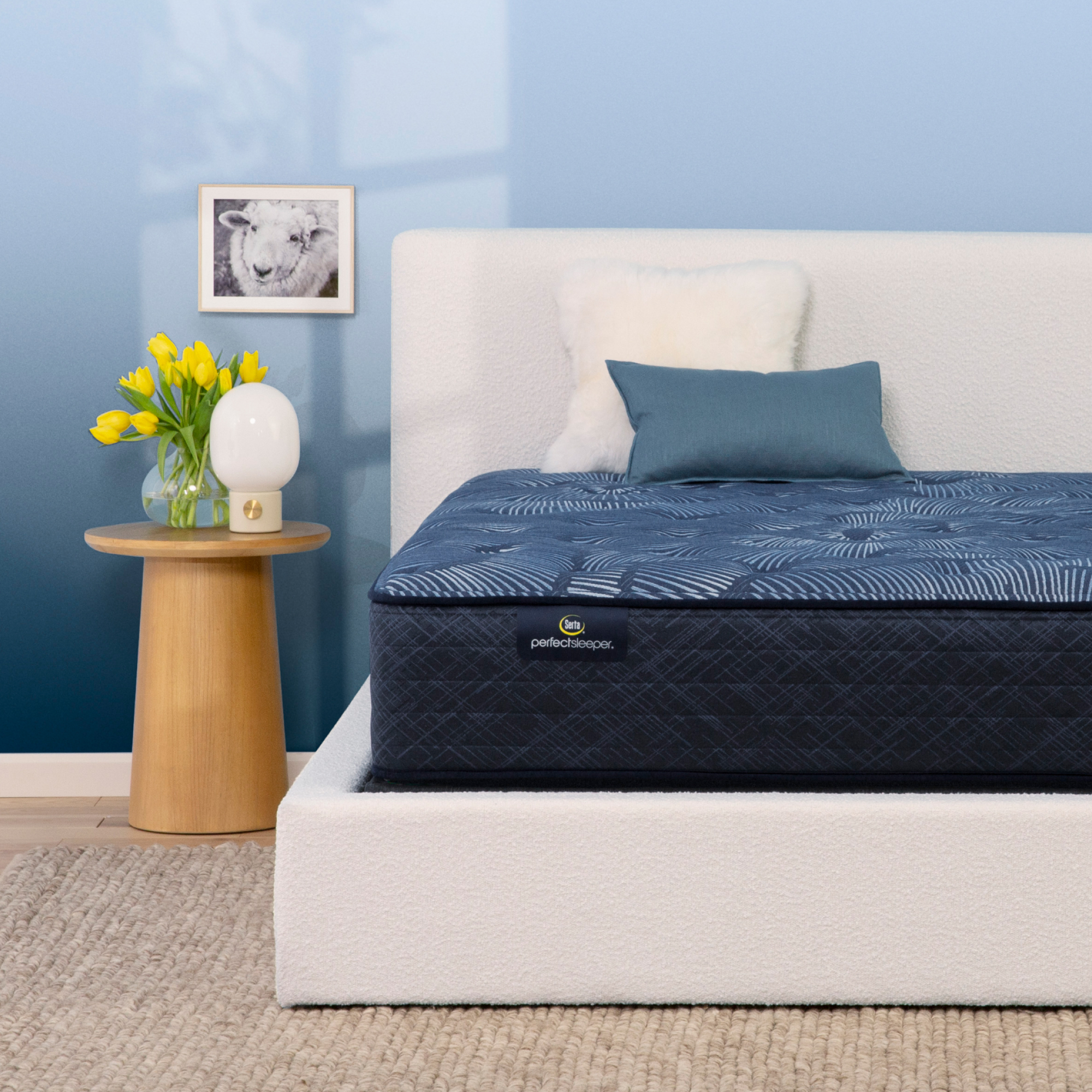 Perfect Sleeper Cobalt Calm 13.25
