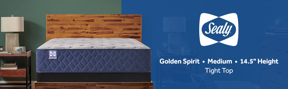 Model: 53208361 | Sealy Golden Spirit Medium Tight Top King