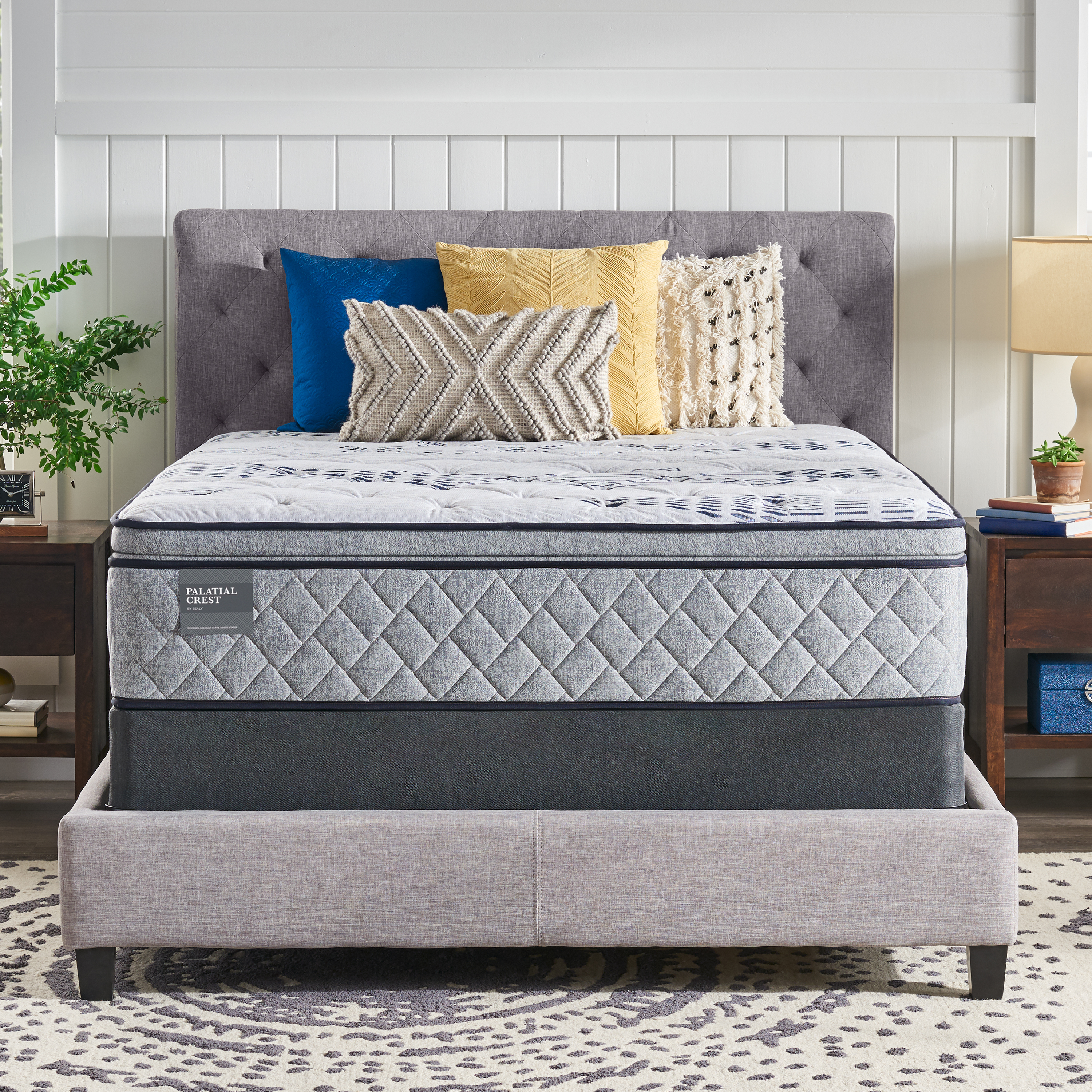 Sealy Exultation Twin Long
