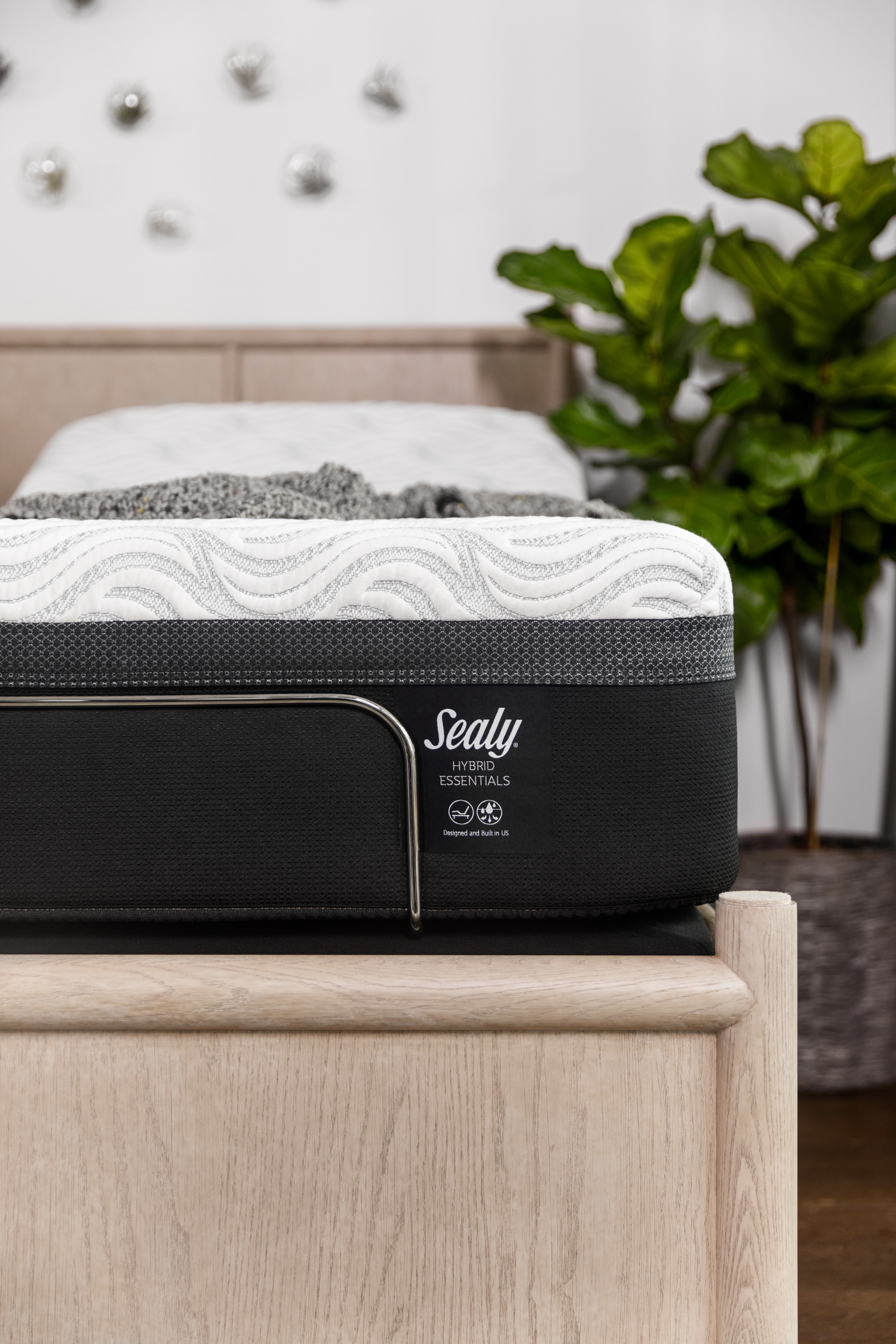 Model: 52332230 | Sealy  Trust II NS Twin