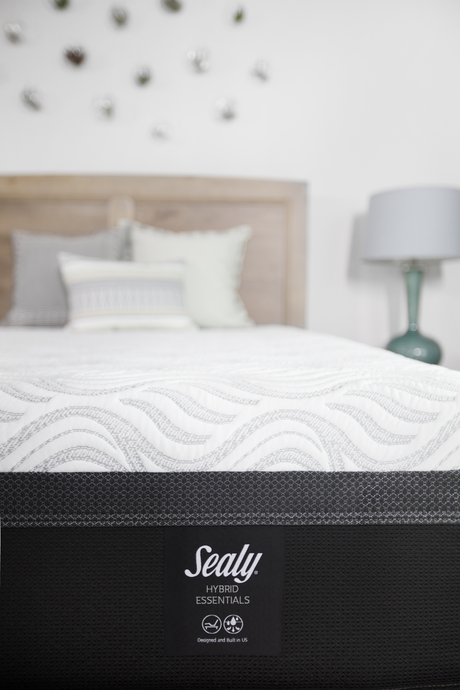 Model: 52332230 | Sealy  Trust II NS Twin