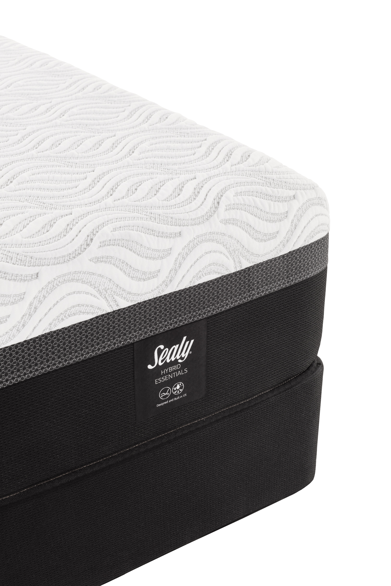 Model: 52332230 | Sealy  Trust II NS Twin