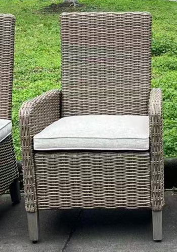 Signature Design by Ashley Laguna Heights Arm Chair With Cushion (2/CN)