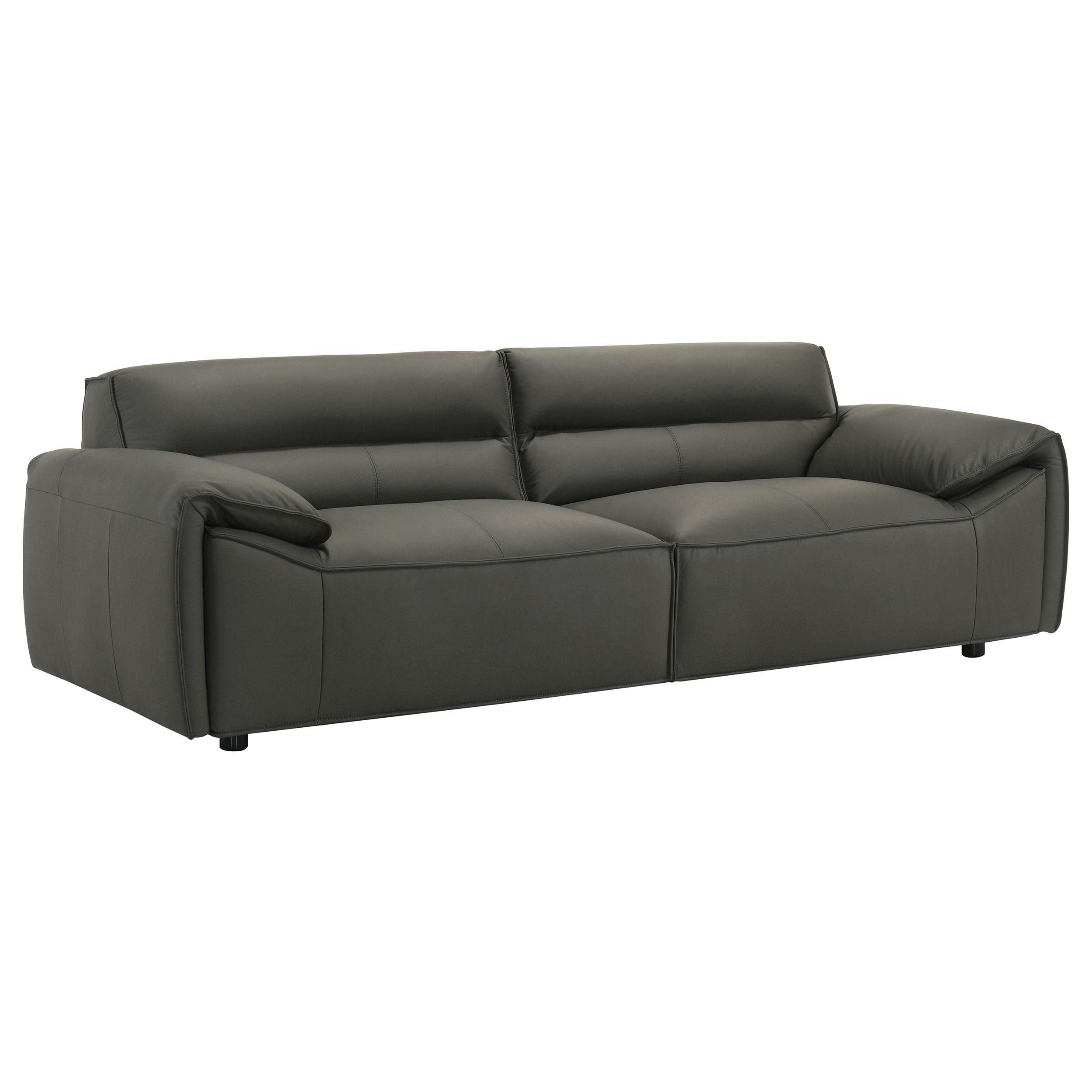 Coaster Loveseats Living Room 509505 | Reese Warehouse