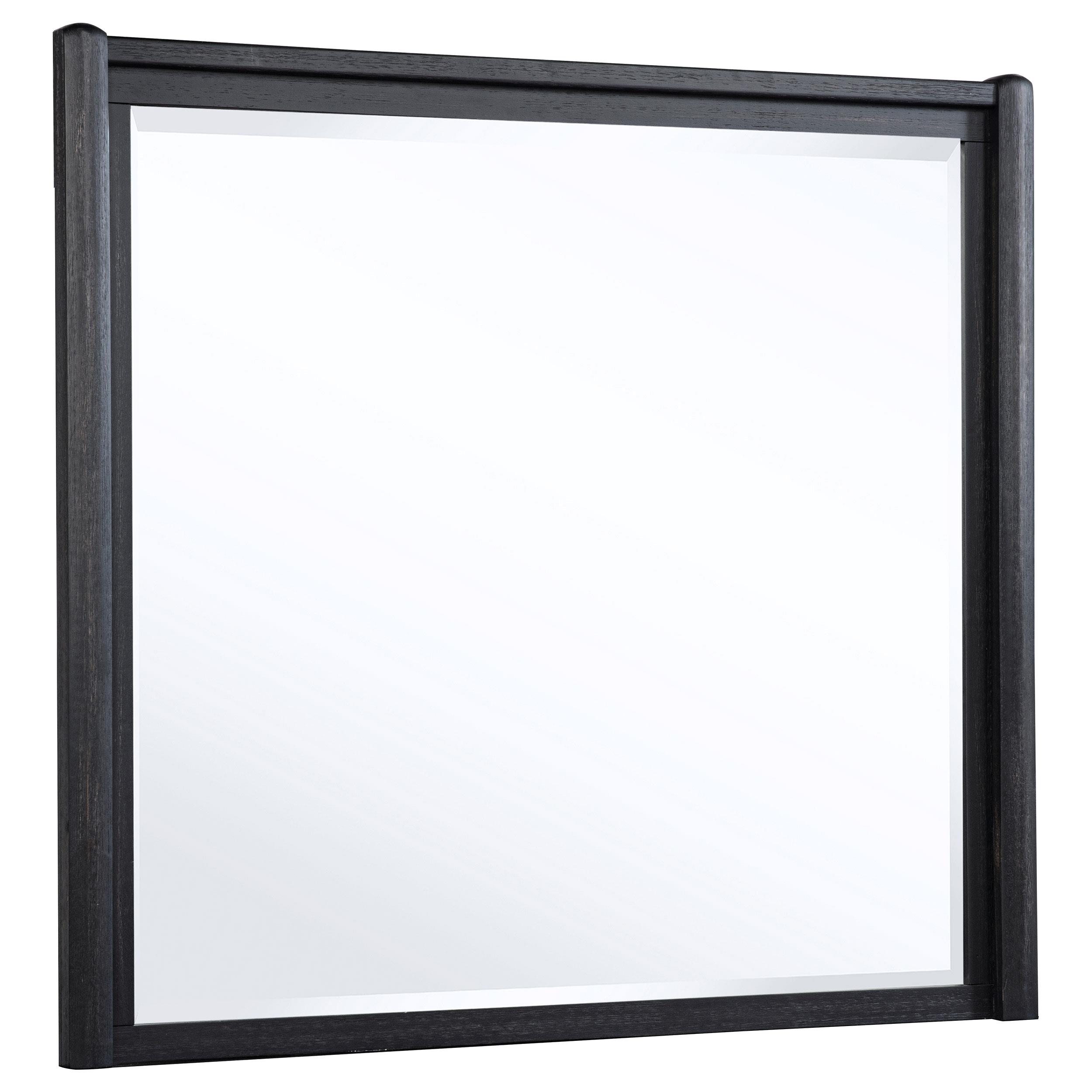 Coaster Leandro Dresser Mirror Burnished Black