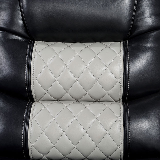 Furniture of America Leipzig Power Loveseat