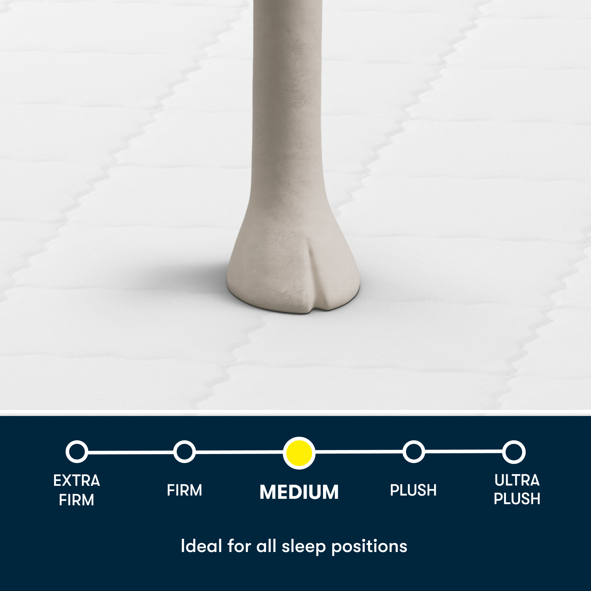 Serta Perfect Day 8 Medium Mattress in a Box -Twin XL