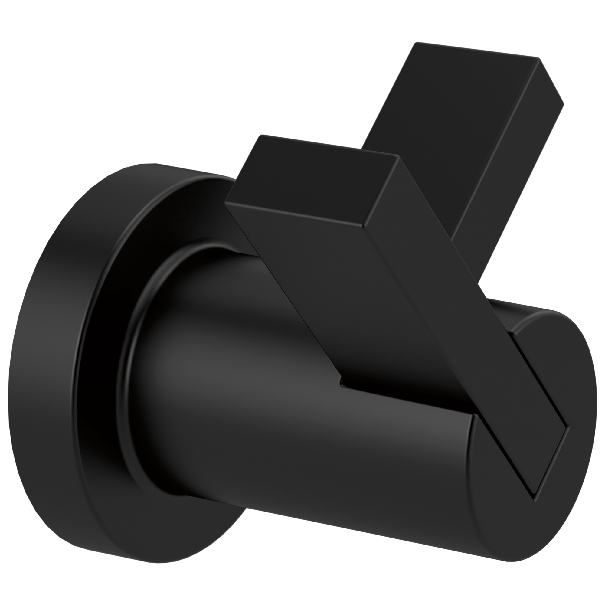 Brizo Brizo Litze®: Double Robe Hook