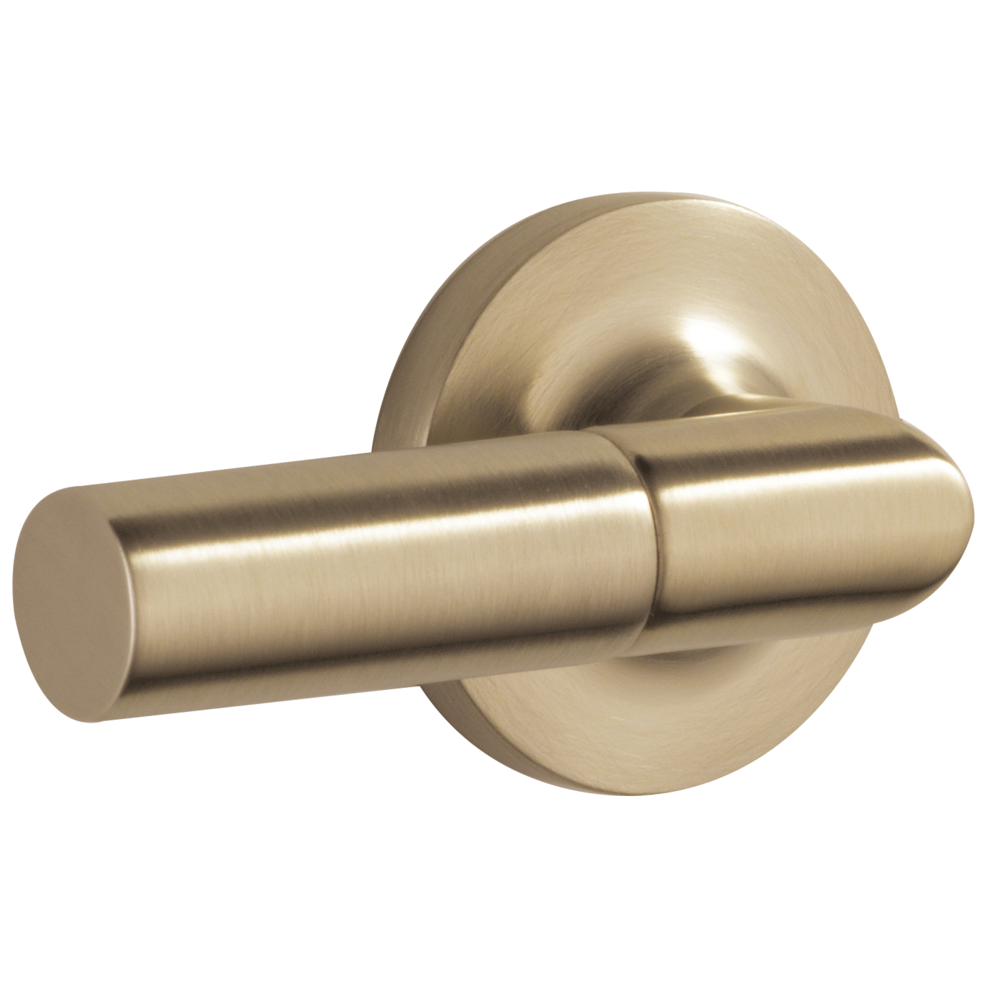 Brizo Brizo Odin®: Front Mount Flush Lever