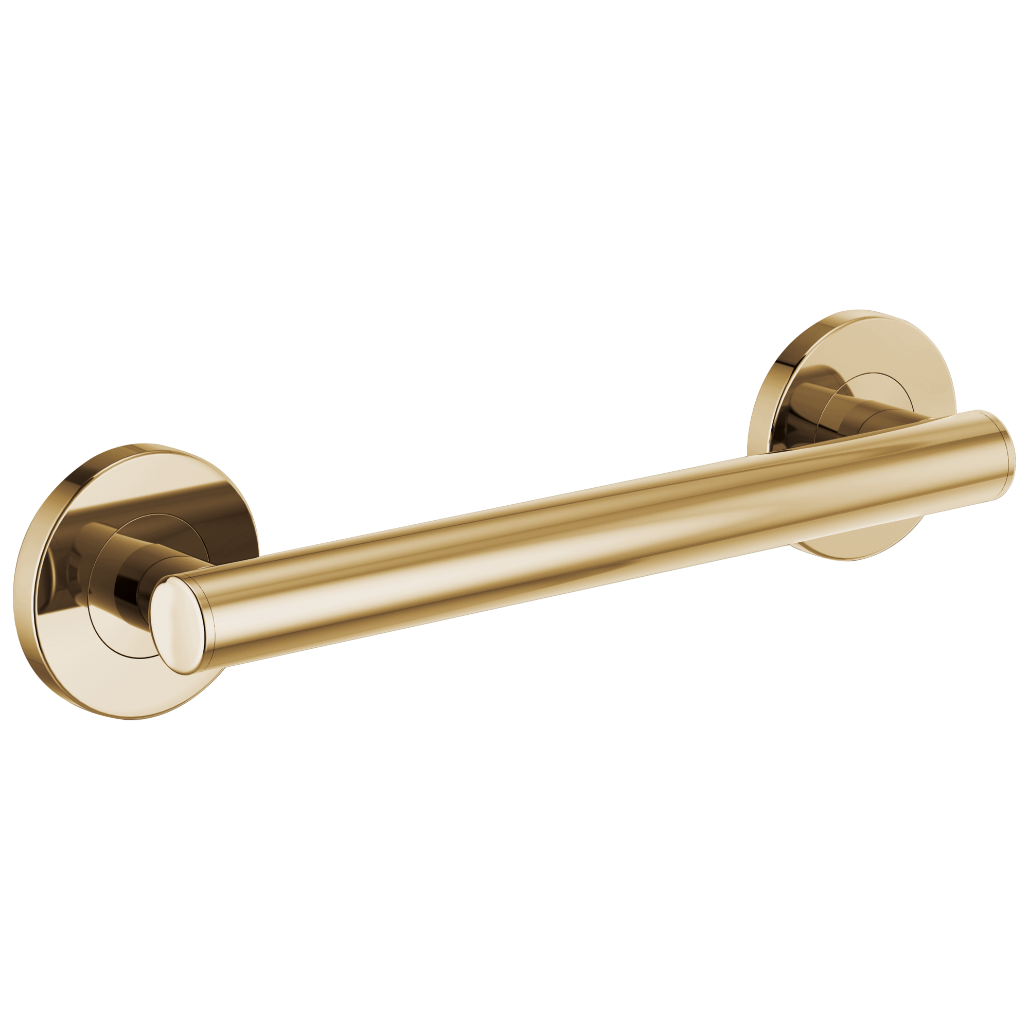 Brizo Brizo Other: 12" Linear Round Grab Bar