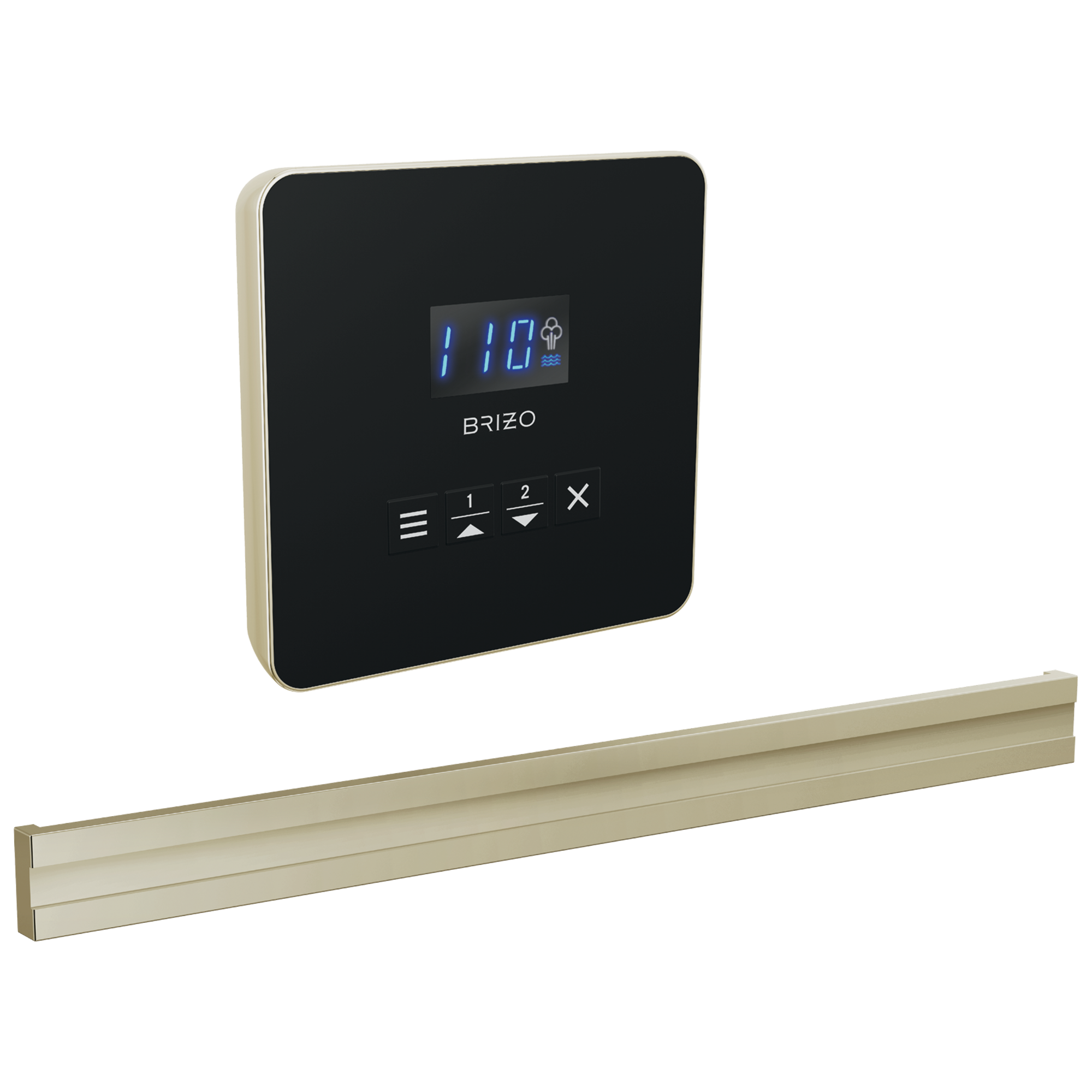 Brizo Brizo Other: Square + Bilateral Steam Set
