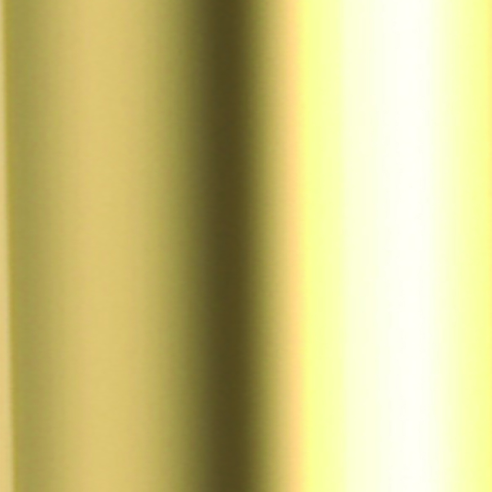 Newport Brass Universal Items Single Hole Cover Plate Forever Brass (PVD)